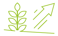 14557-Icon-green-4_yield increase